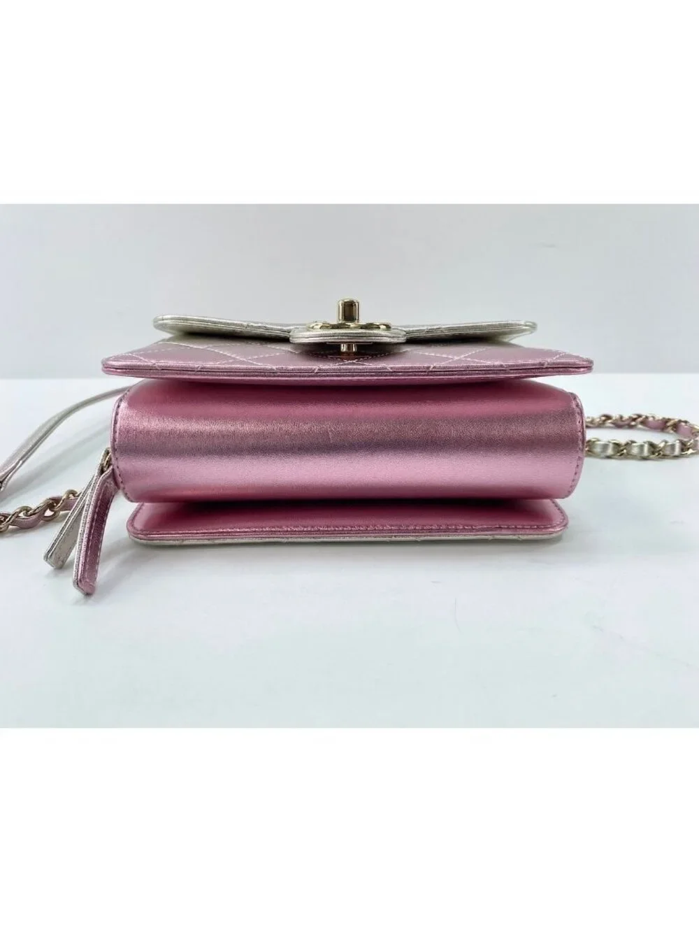 Chanel Shoulder Bag Mini Quilted